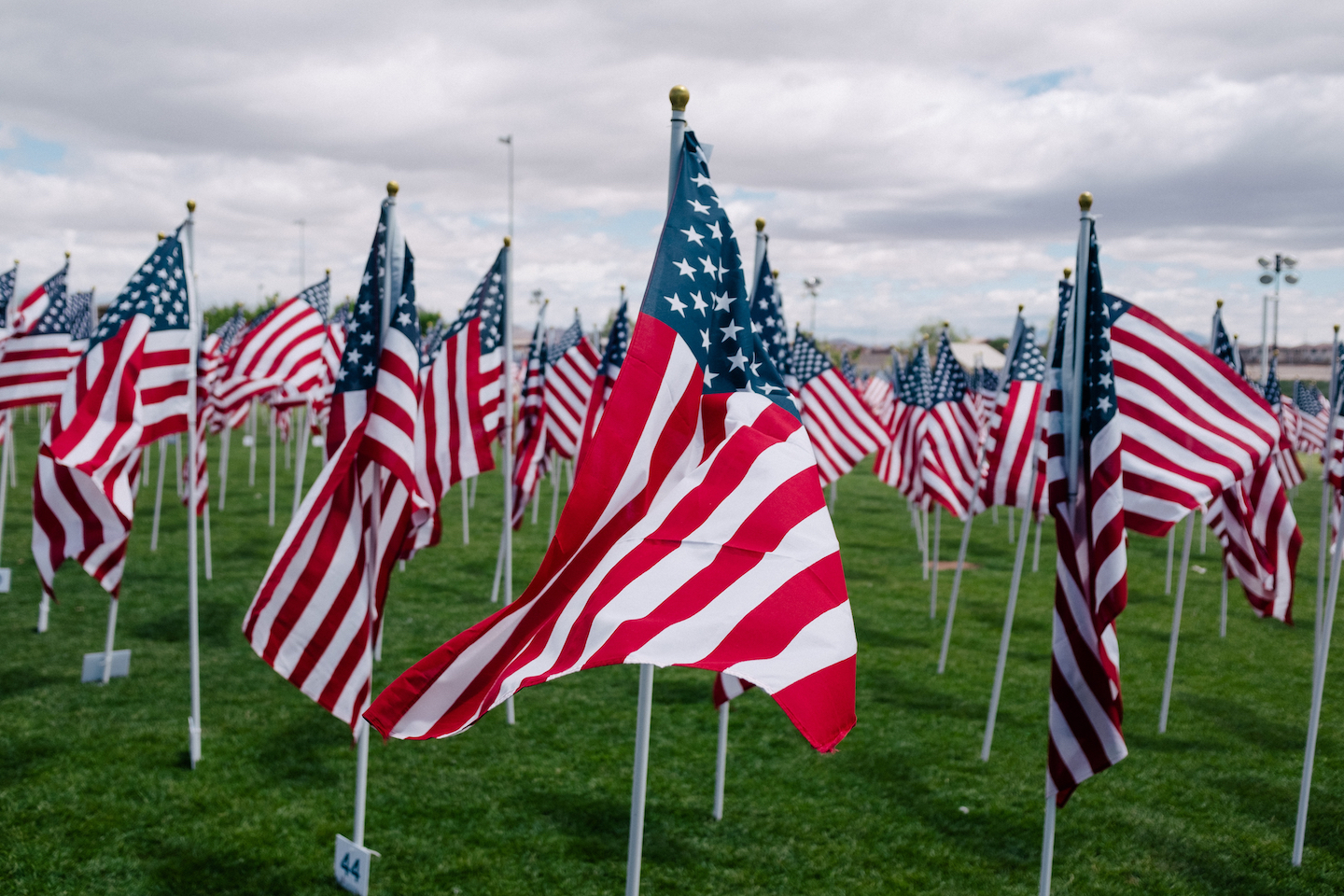 American flags staked into the grass
